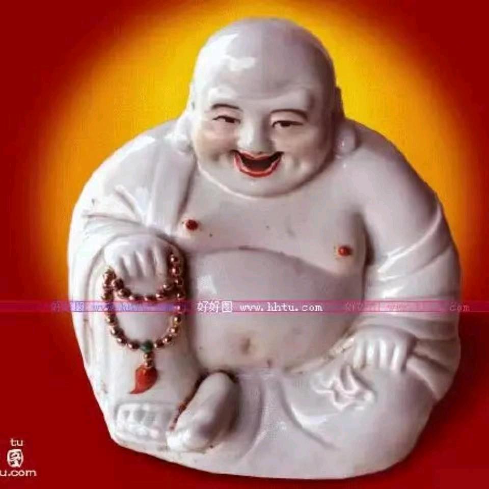 蹄血杜鹃