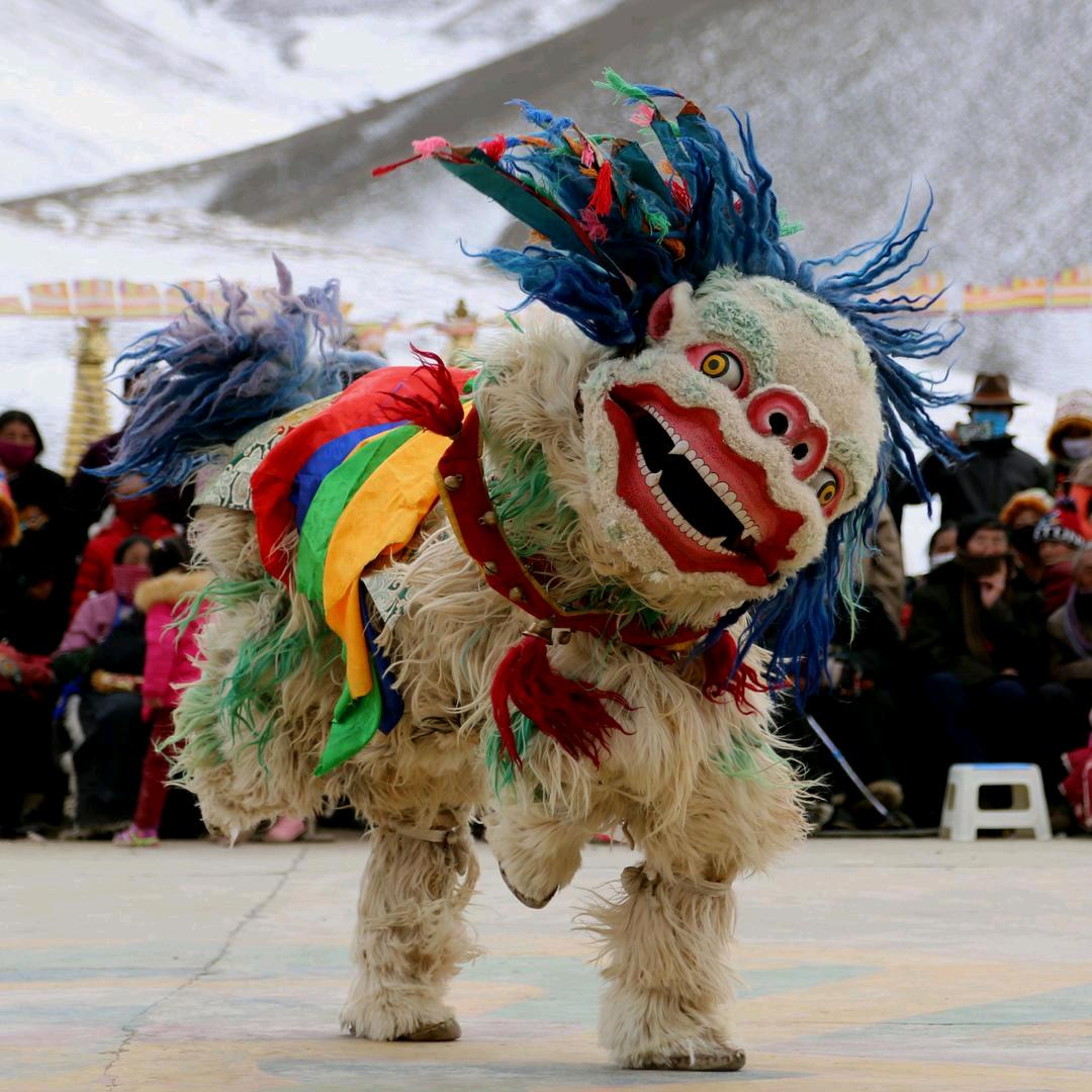 世界名犬  拉萨犬（阿布索）
