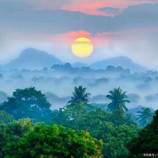 喜🧚‍♀️缘多