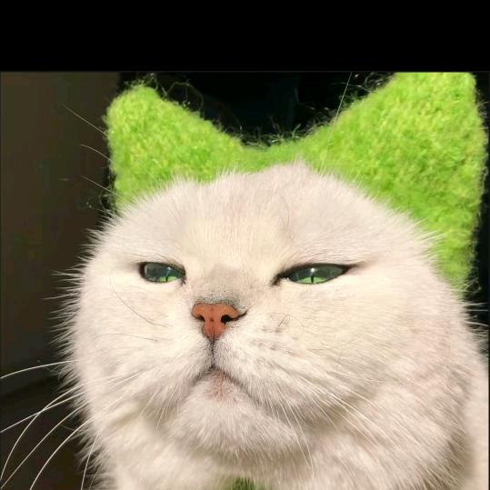 哆瑞咪发