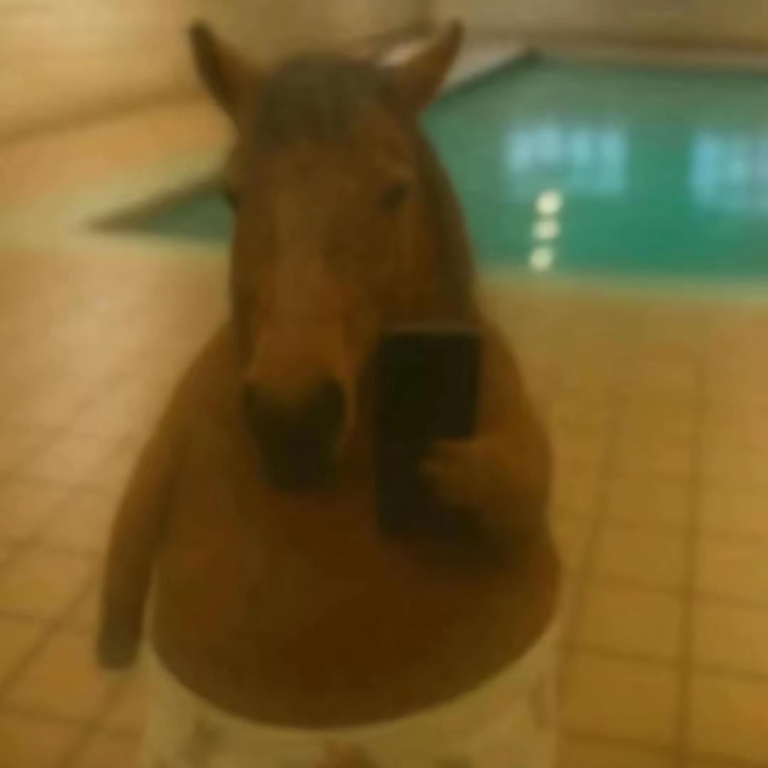 火锅披萨鸽子汤