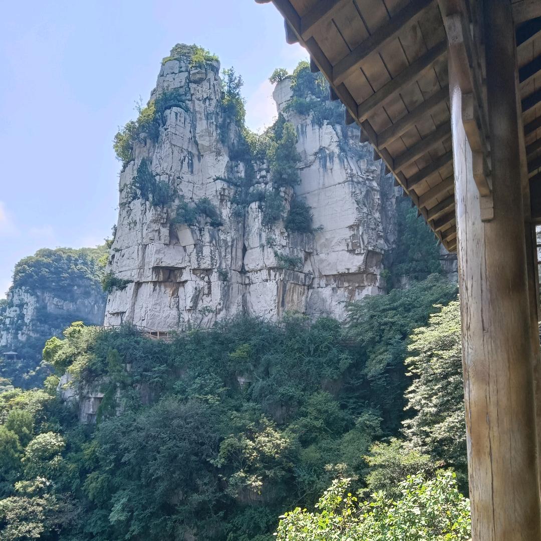 人生无悔（杜）