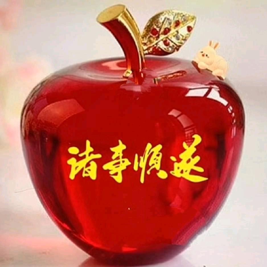 ❤️❤️禾阳❤️❤️