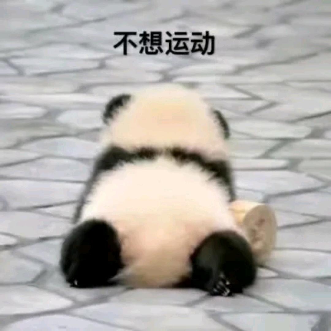 钰桉头像