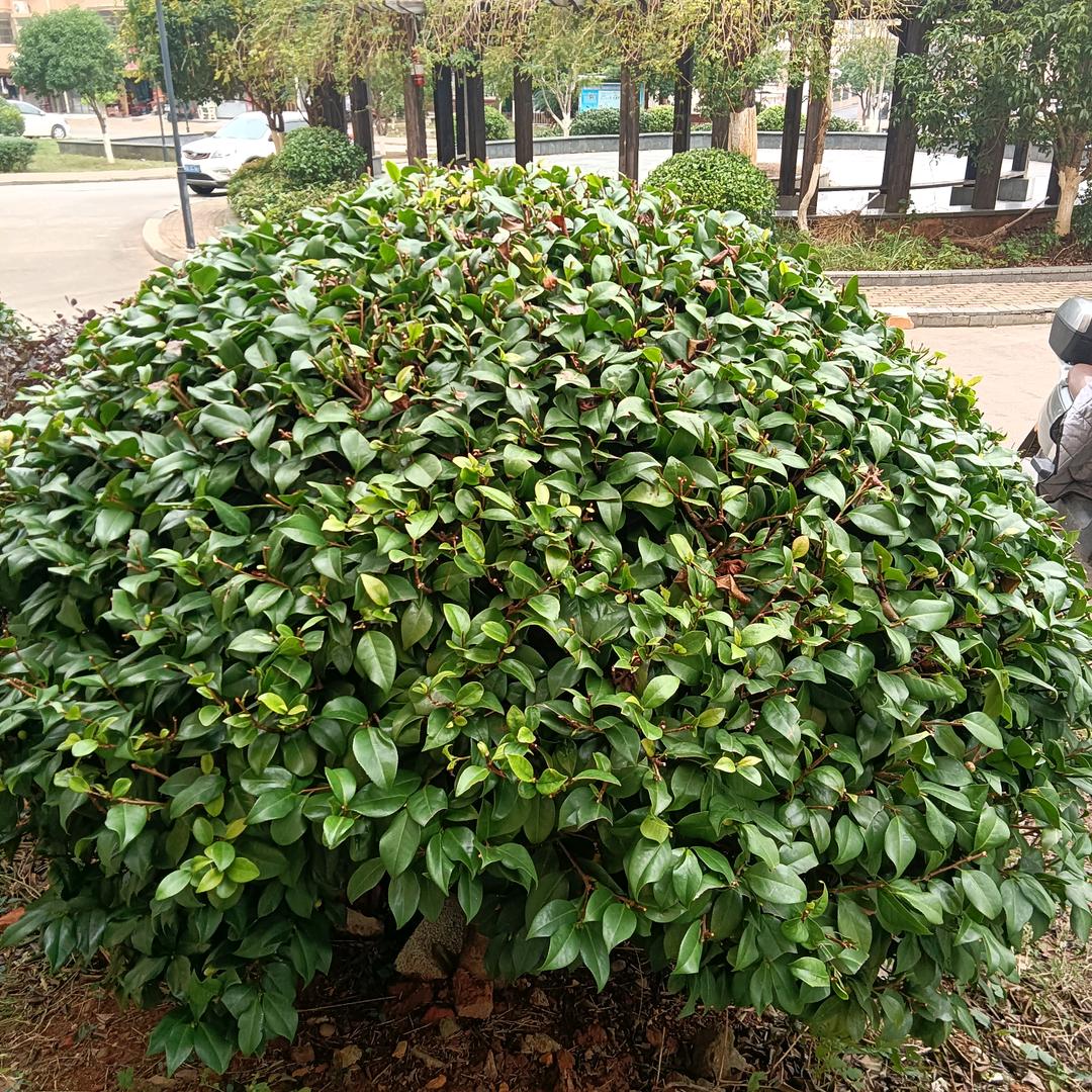 有神的眷顾，真好