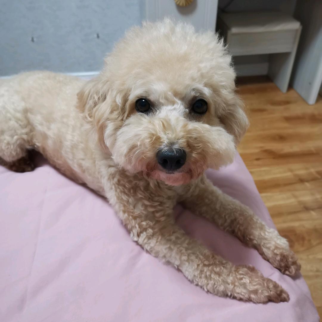 老周书单