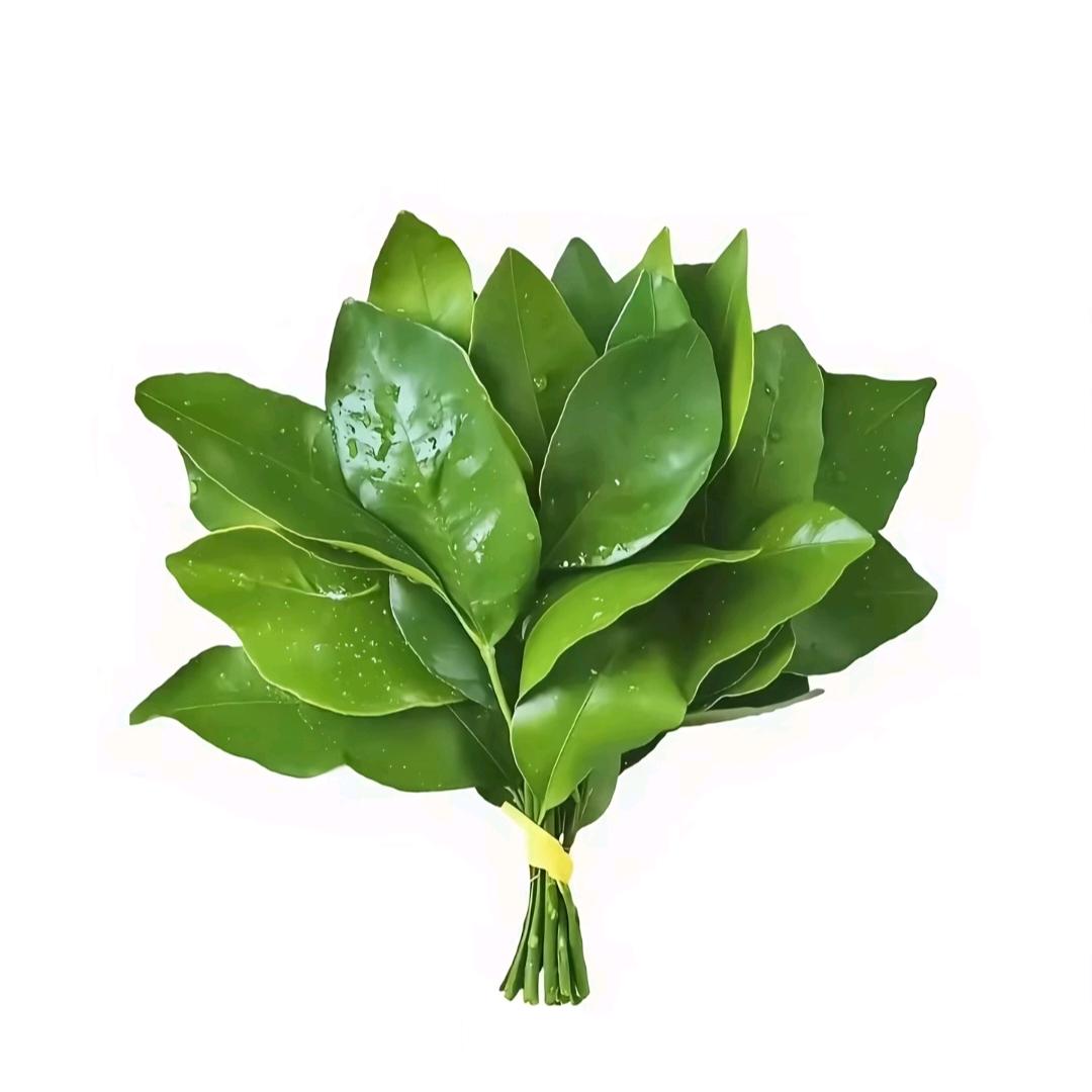 香蕉个不呐呐