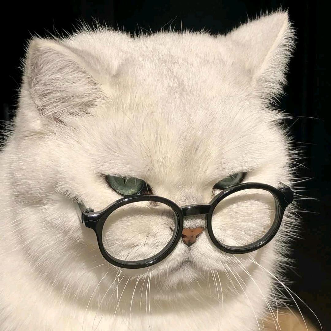 诚信合租（英雄联盟）