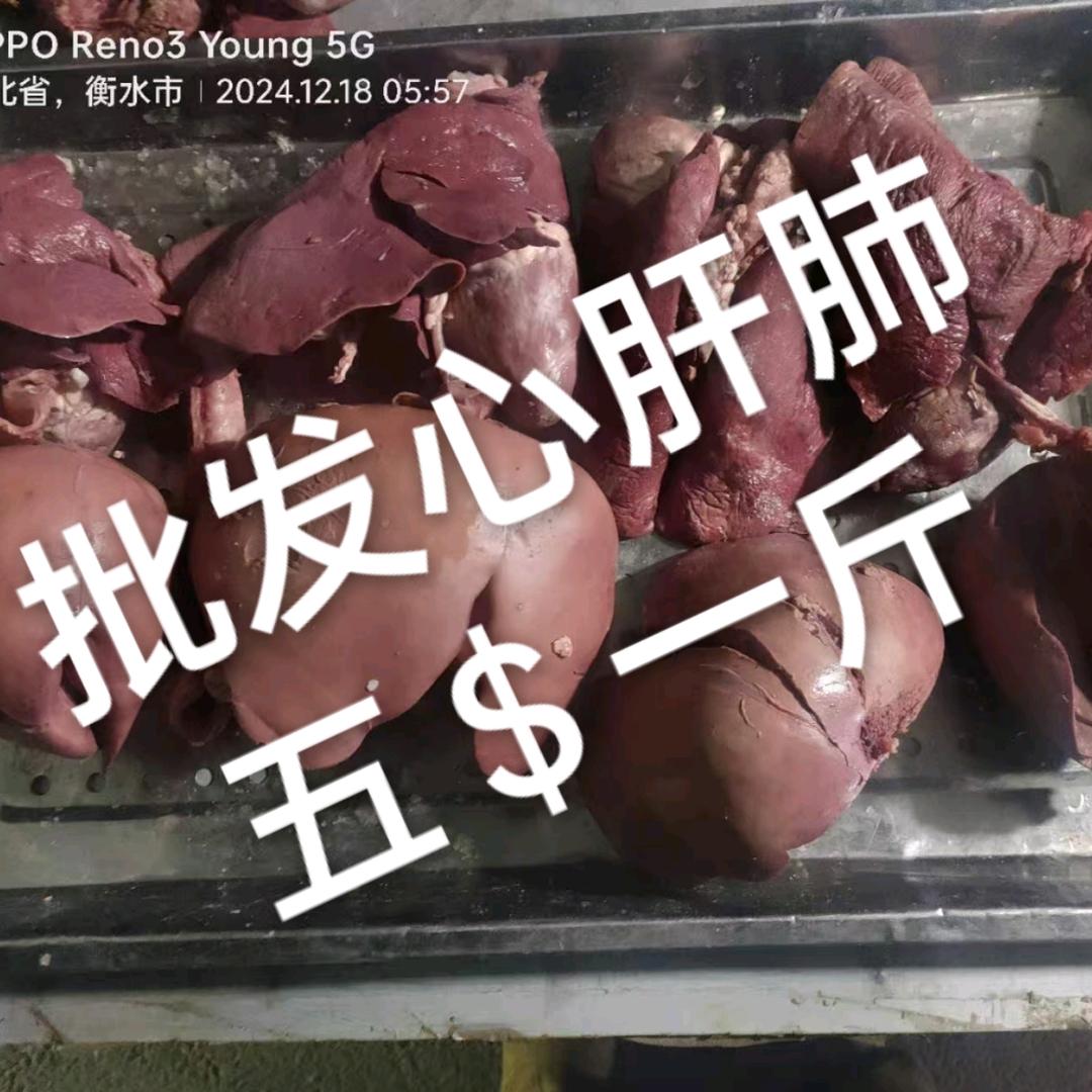 师杨羊杂批发零售