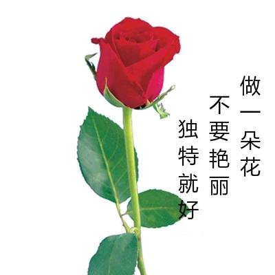 💖皮皮💖