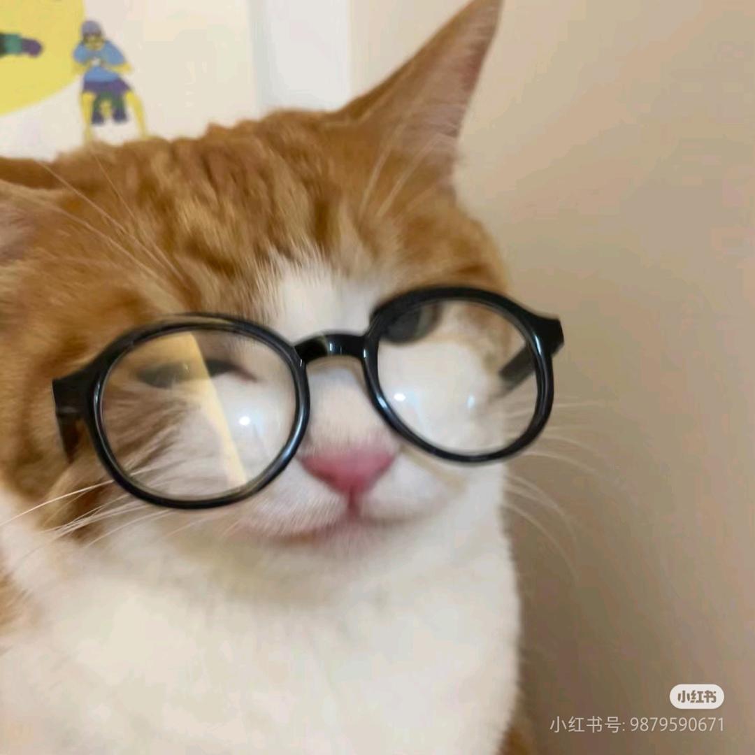 小鹿