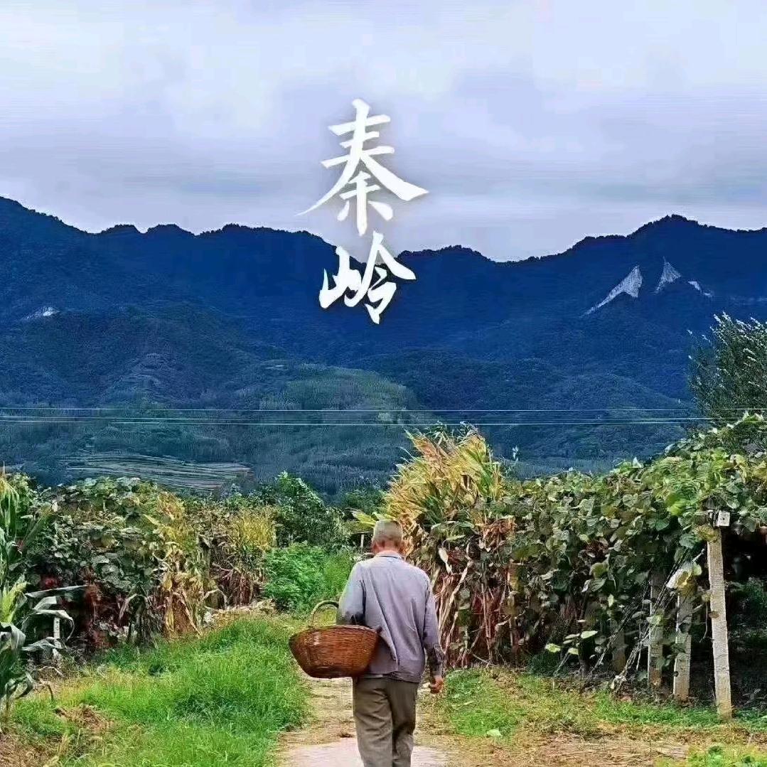 🌹上上签👀