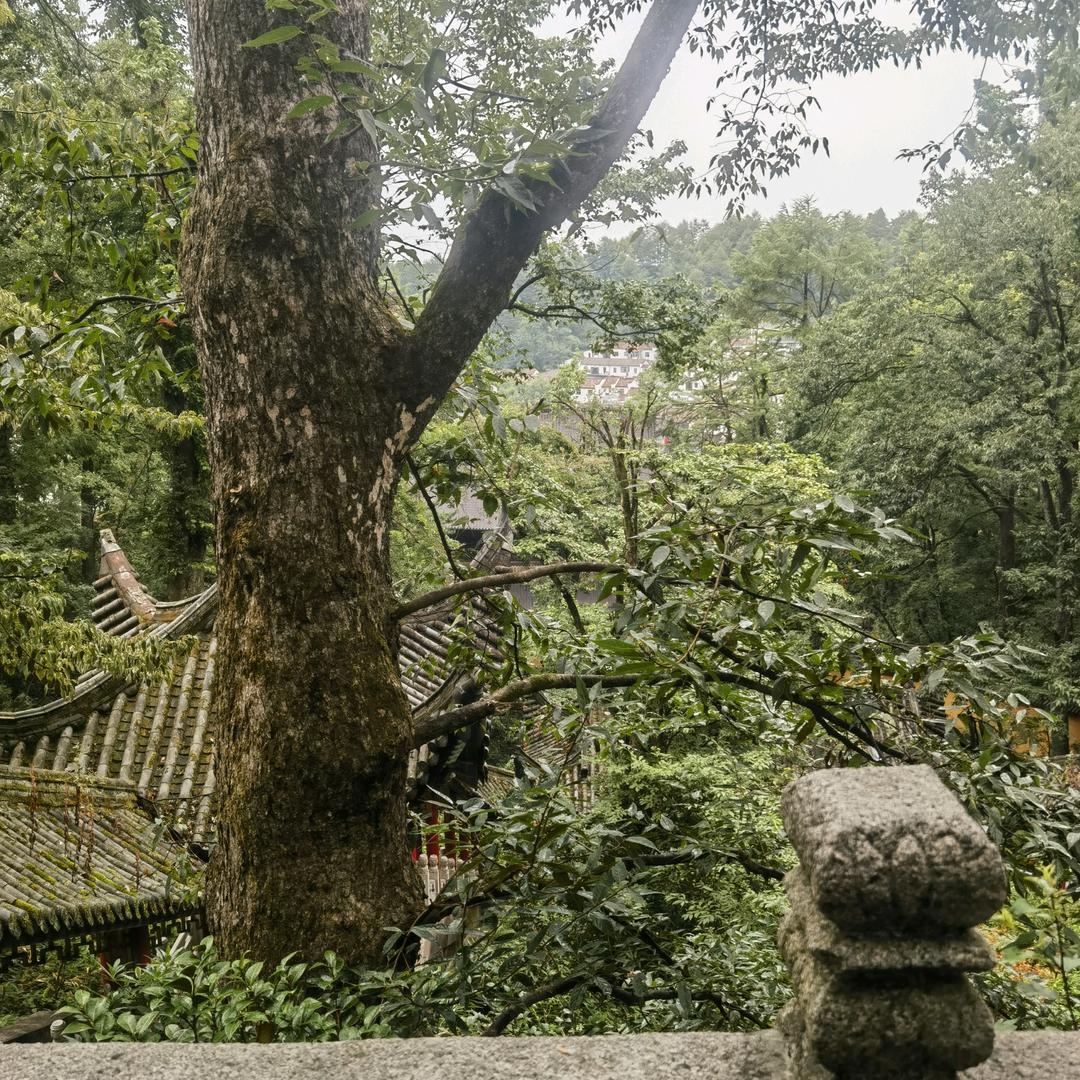文少侠