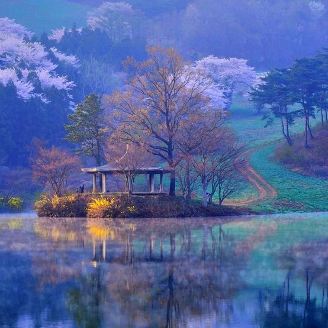 🌈贝儿画世界