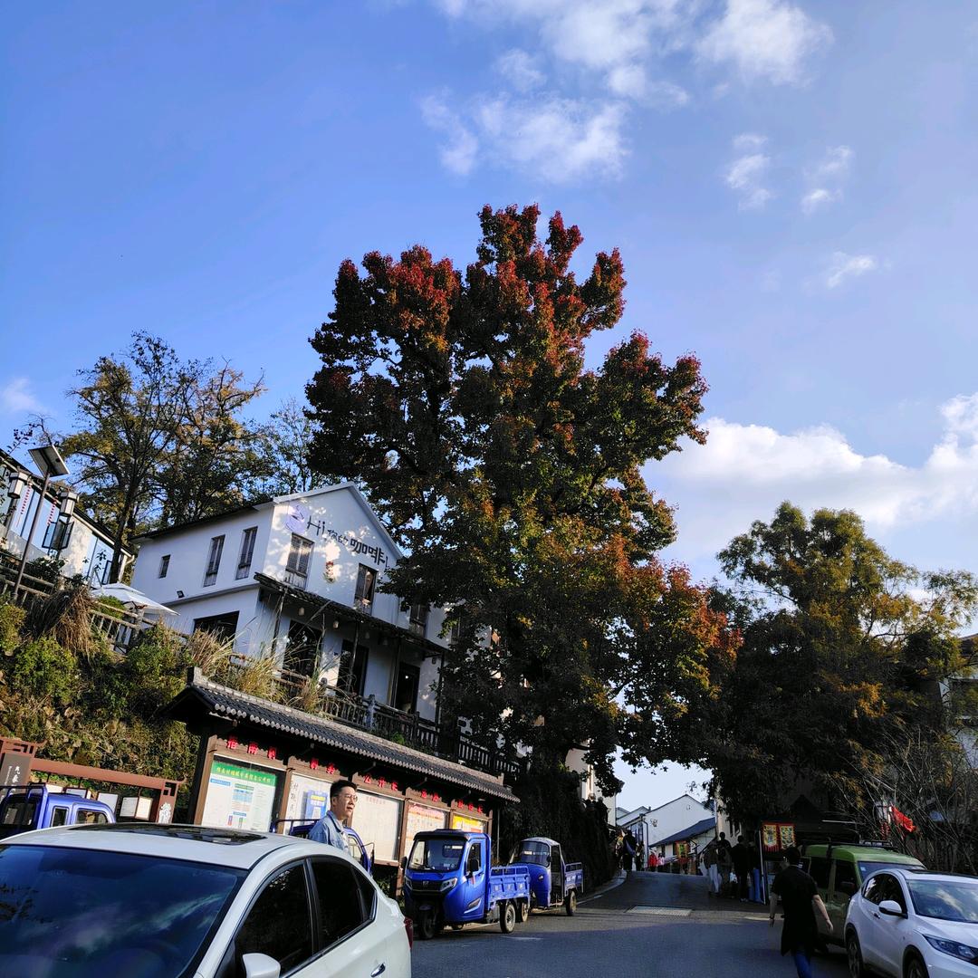 琴瑟和鸣🌸