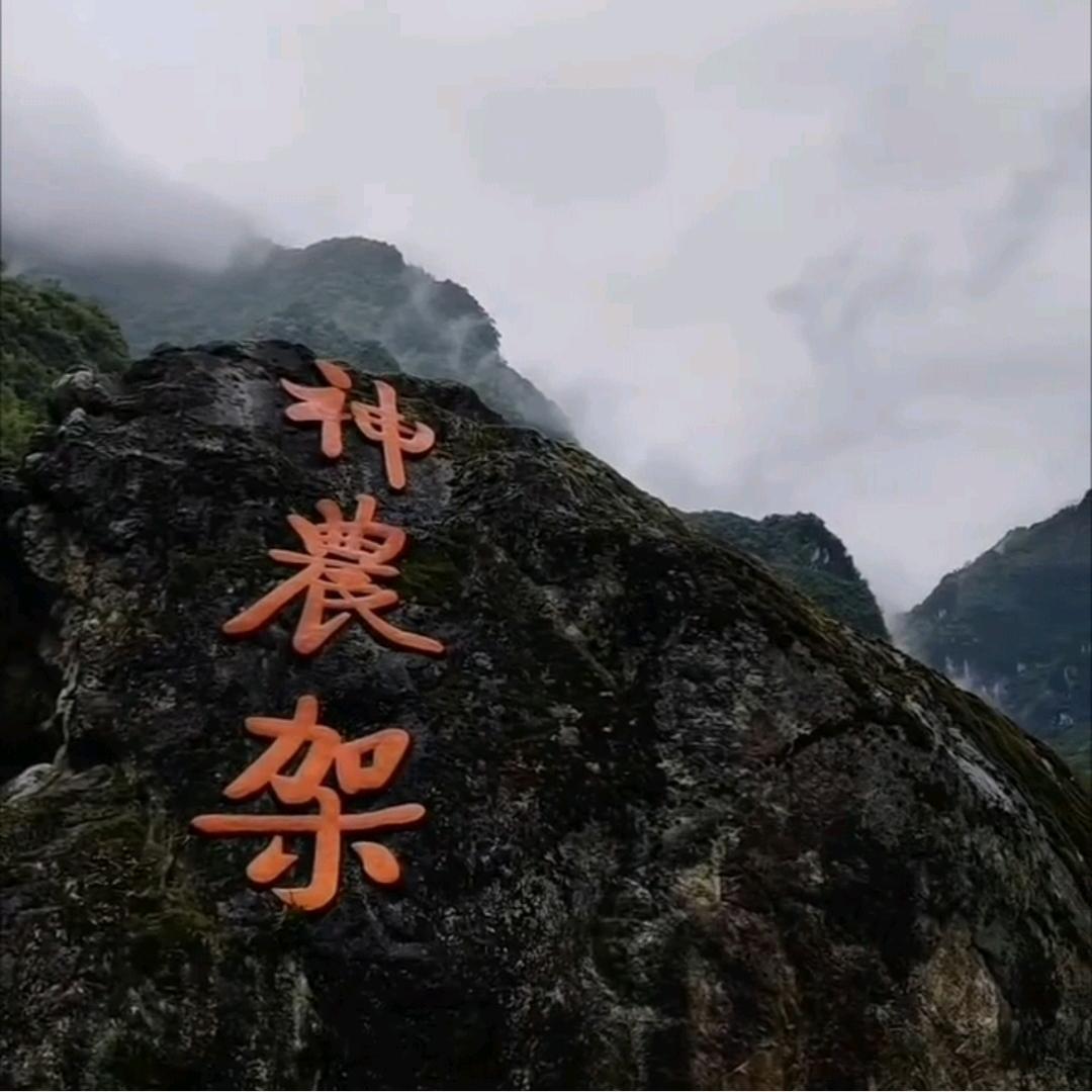 神农架老三