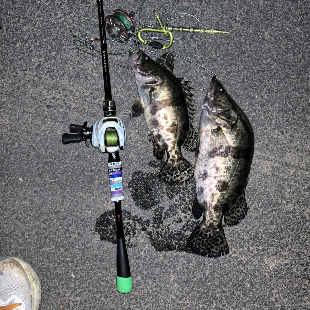 跪求阿鳜快咬钩