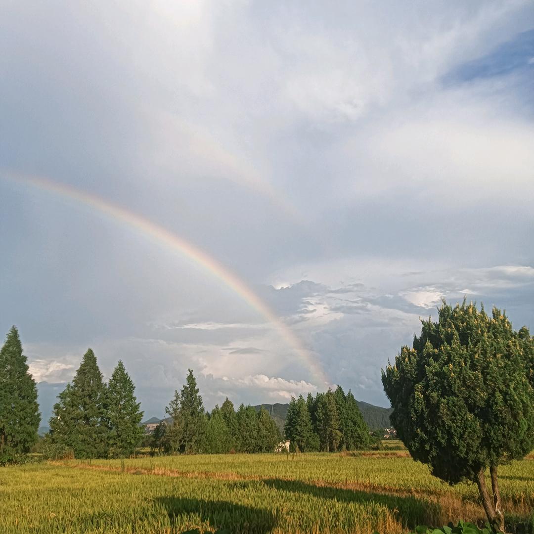 我命由我，不由天。