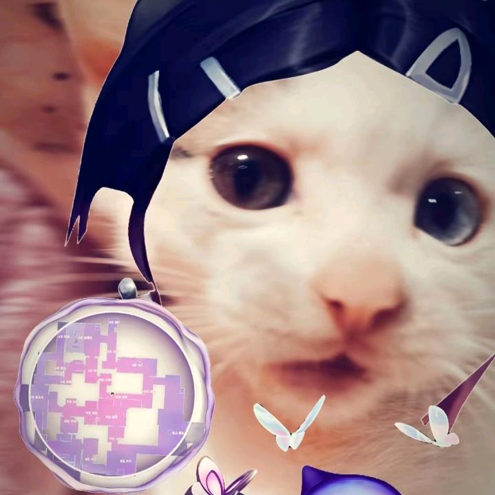 默.