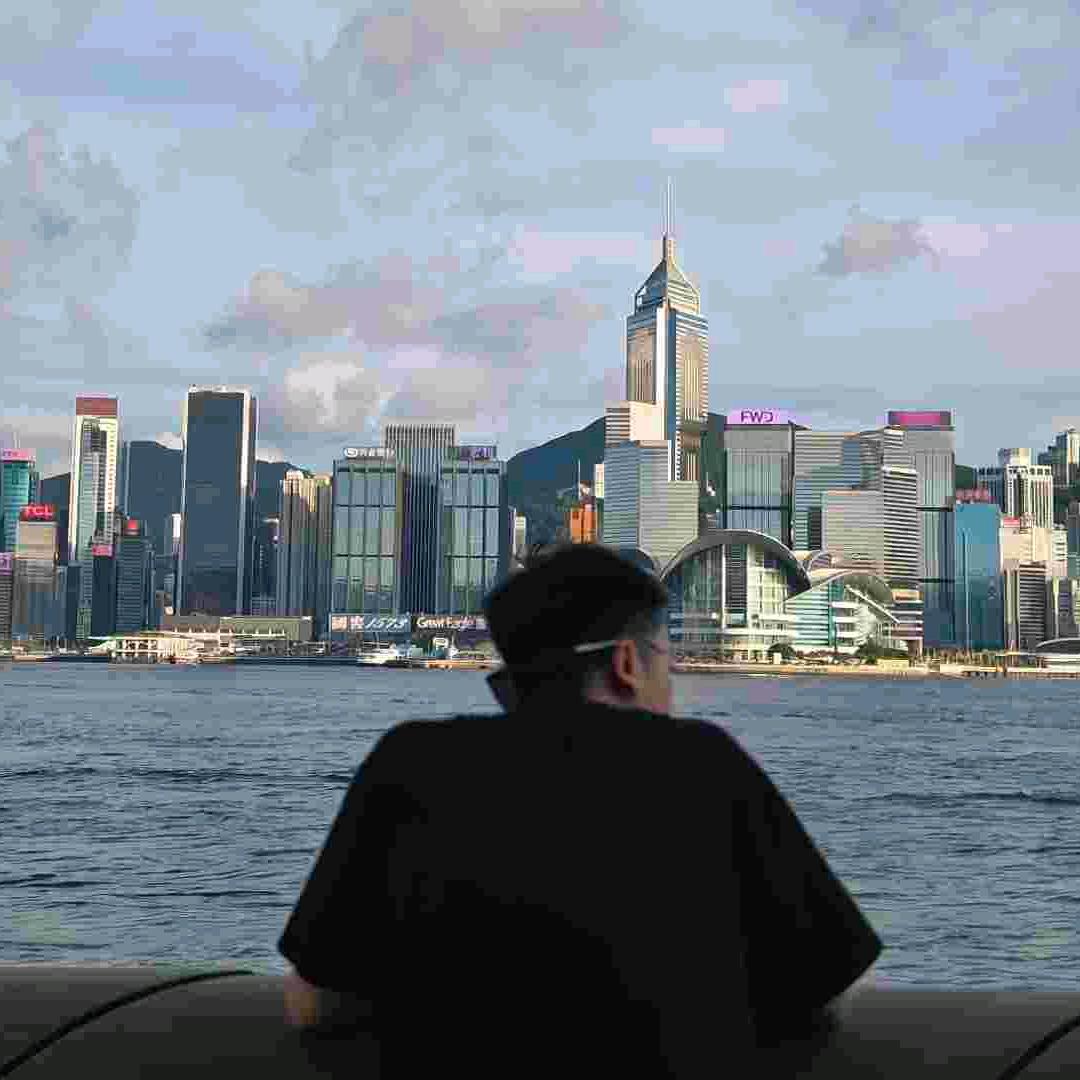 刘  哈哈