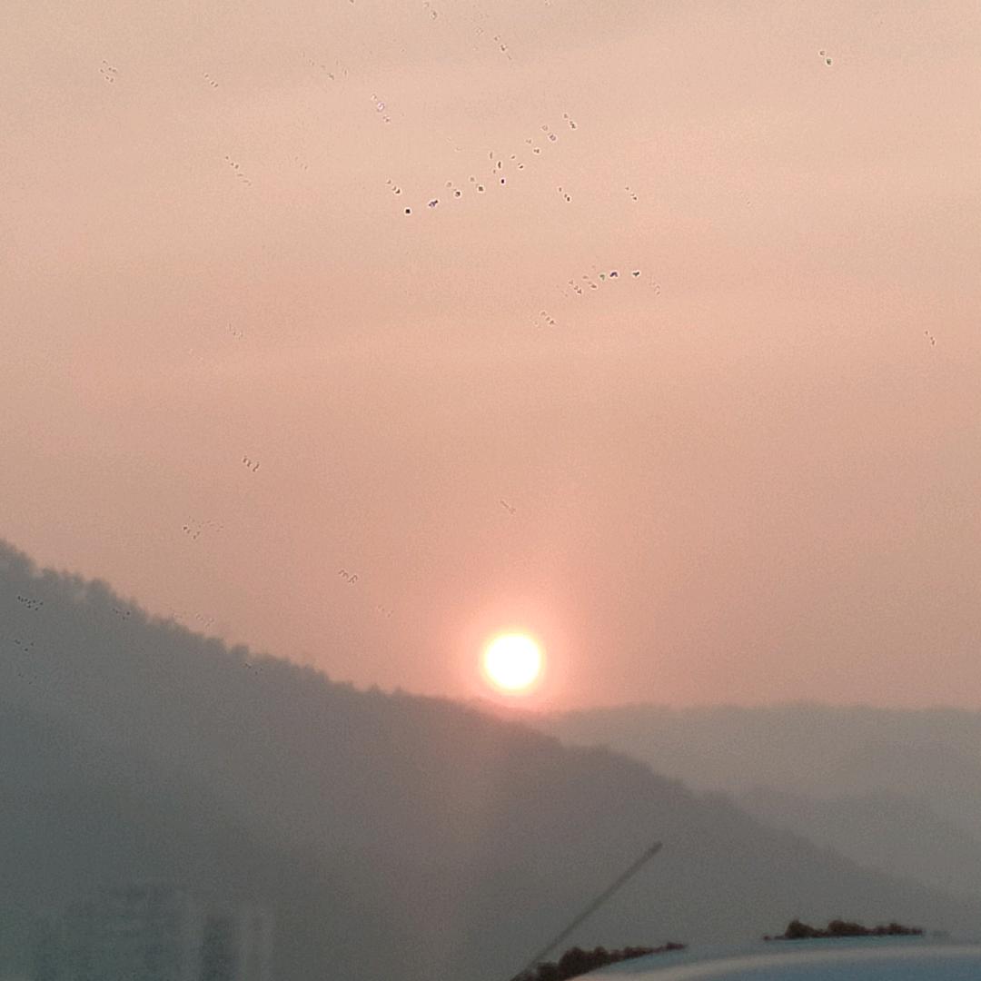 🌙明月✨