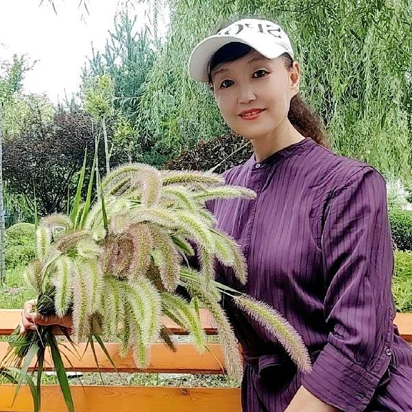 知心燕子