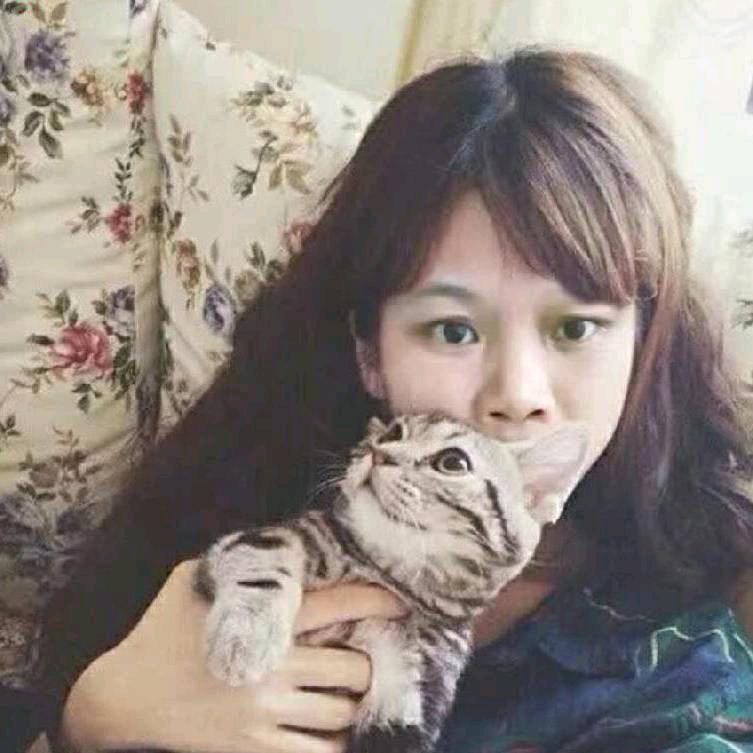 ღ᭄巜没心没肺》ღ᭄