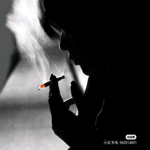 老哥情感