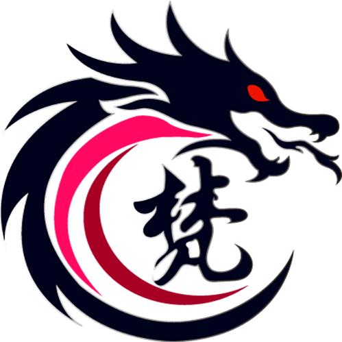 秃头林凡