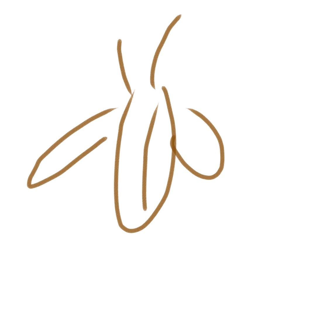 AAA超级旋风蟑螂