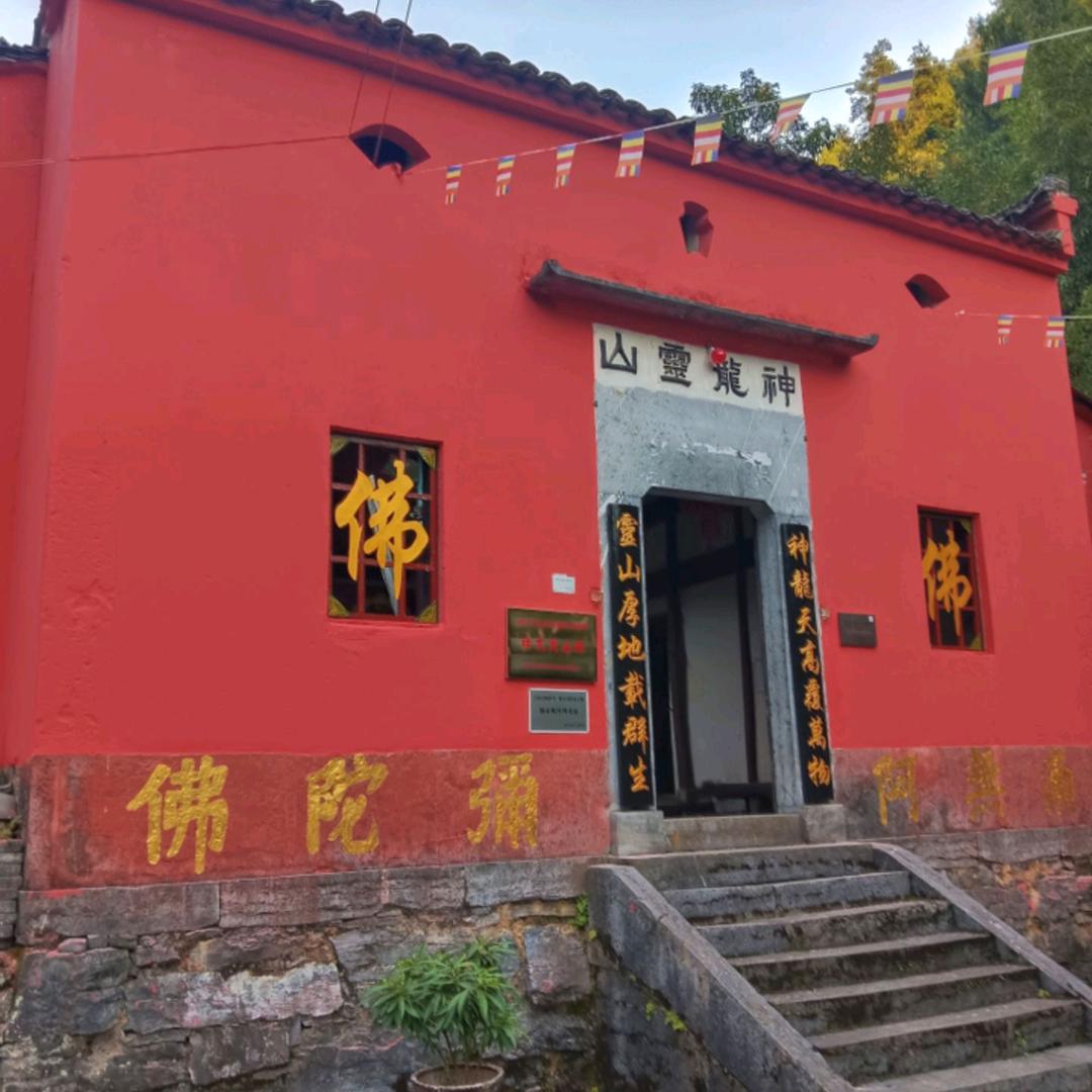 本心智慧（弘扬正法）