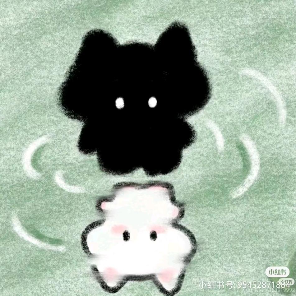 张紫轩