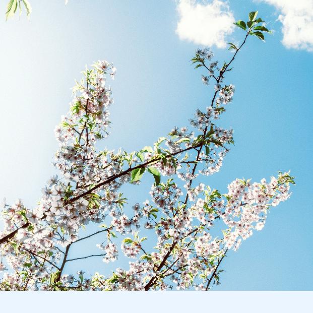 法国布雷斯特心理学硕士班主任-王老师