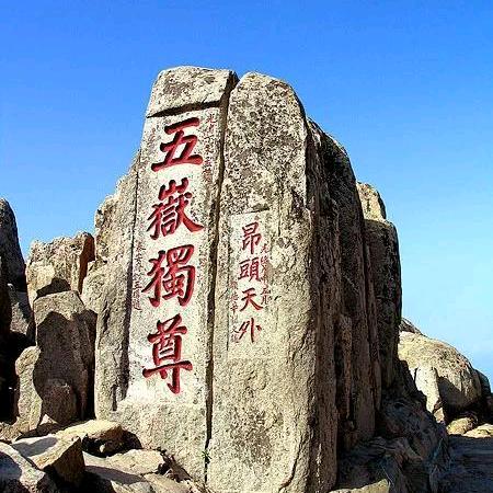 抖音@