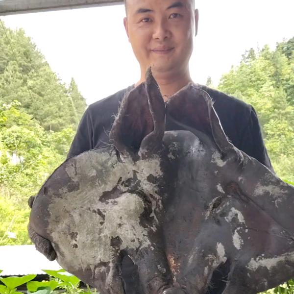 腊味小哥土特产
