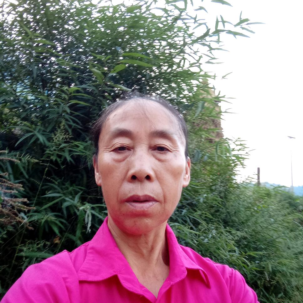 金英5:30直播