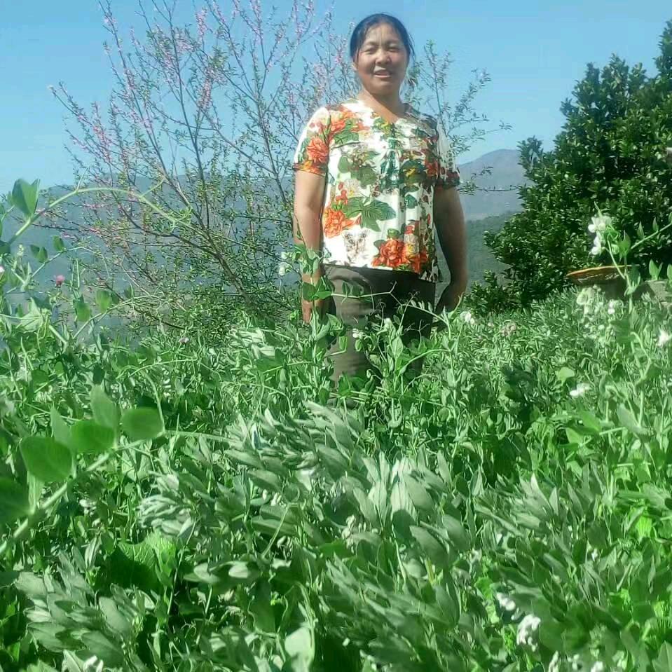 柠檬脾气