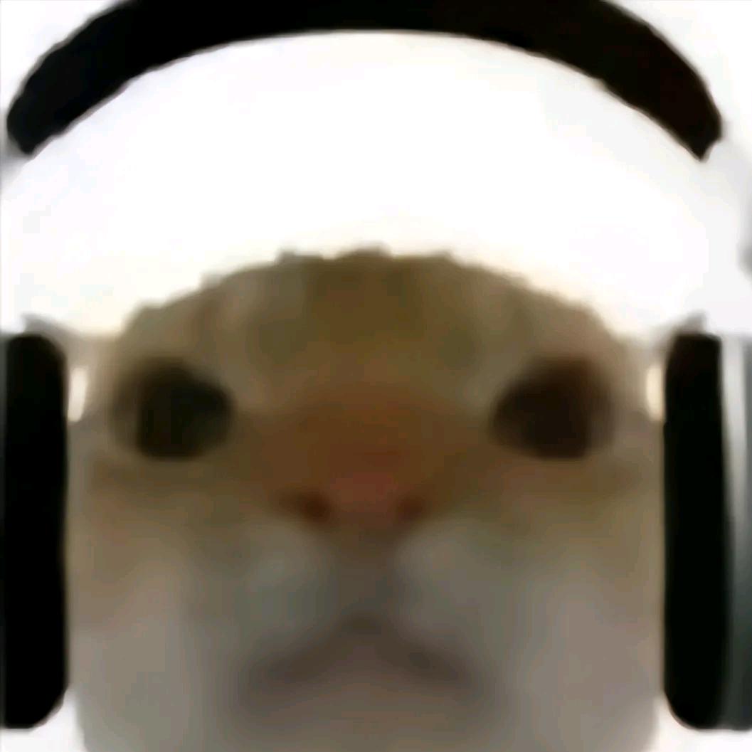 鼠鼠不进下水道