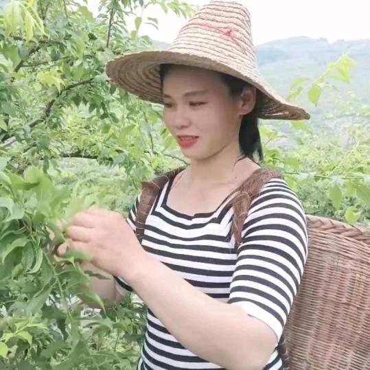 农家韦大妹