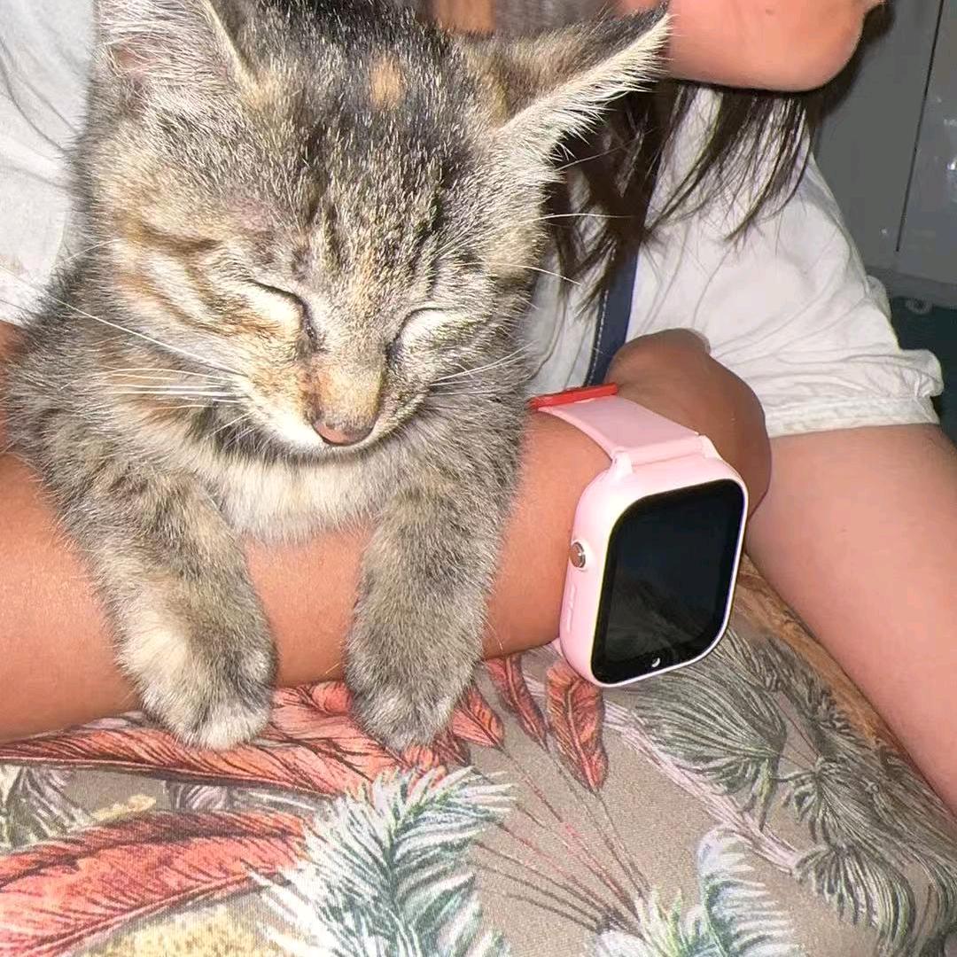 草莓番茄酱