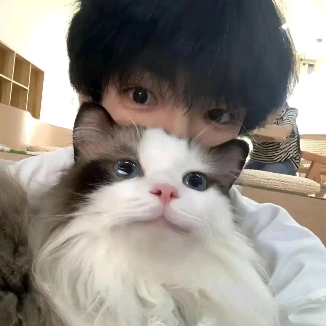 面团