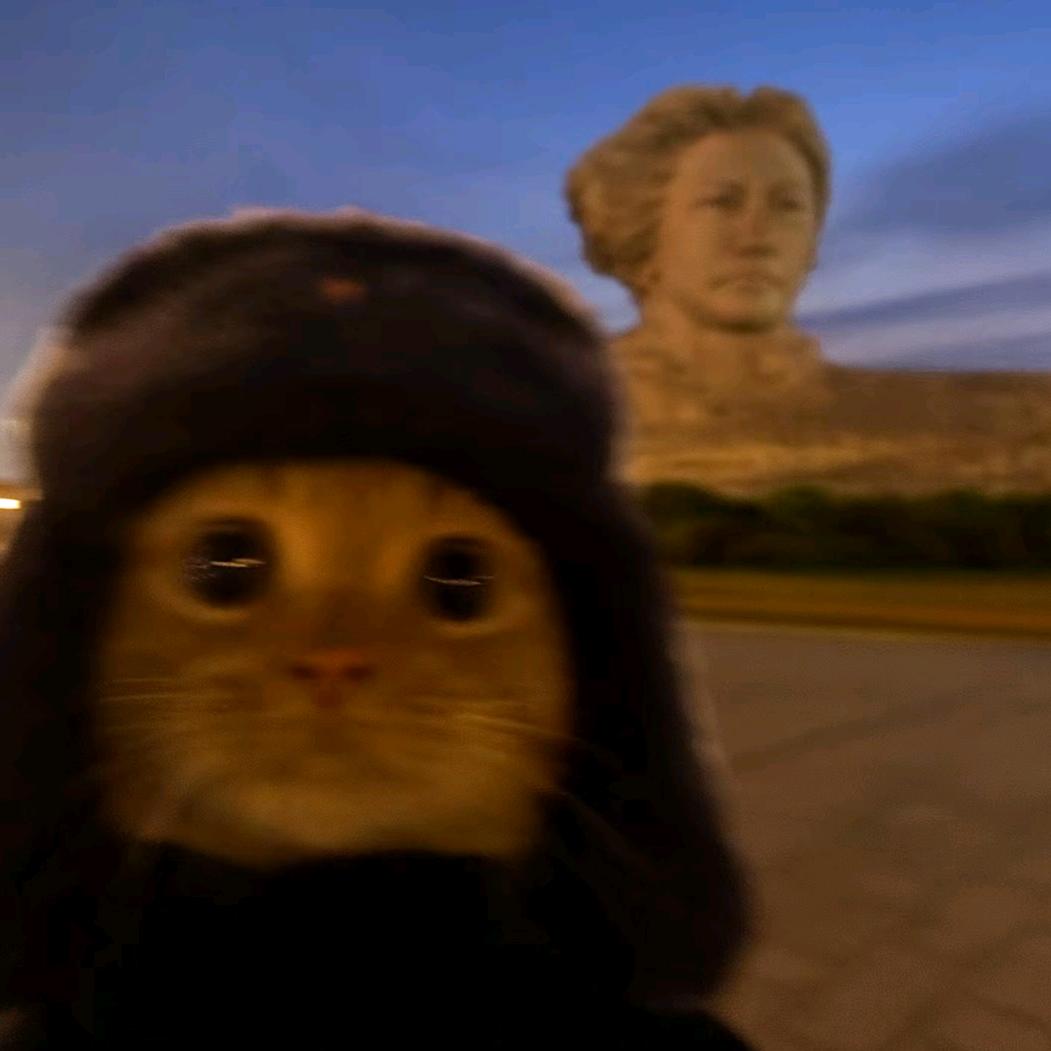 一只猫meme