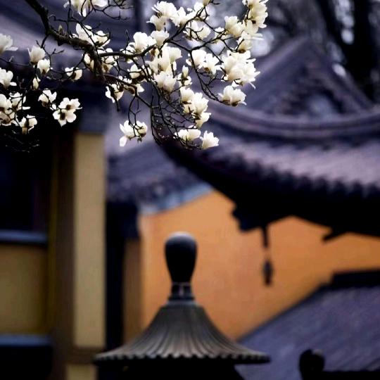菩萨然i