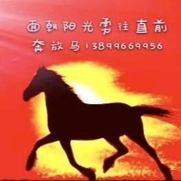 奔放马
