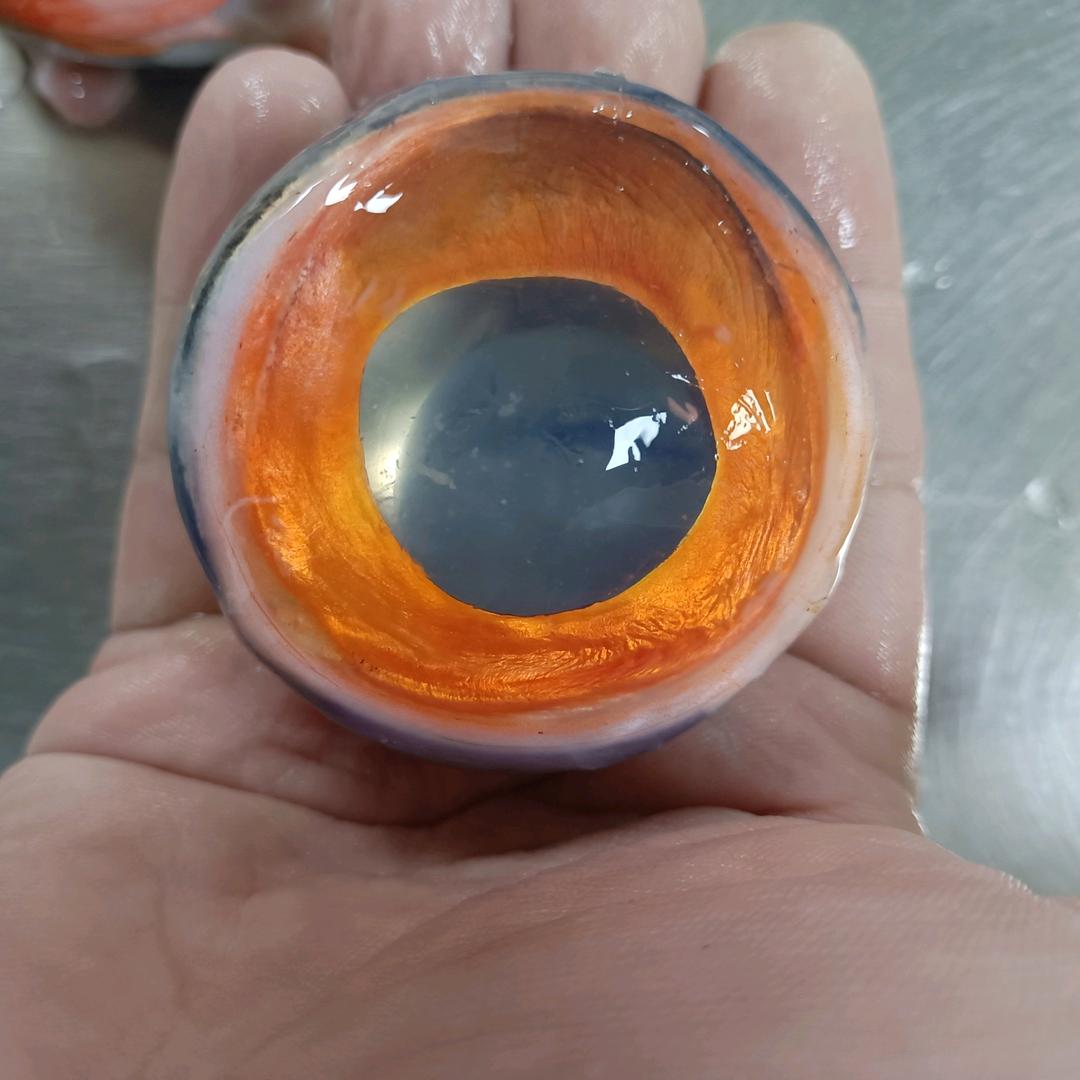 鹏鸿王不吃鱼🐟