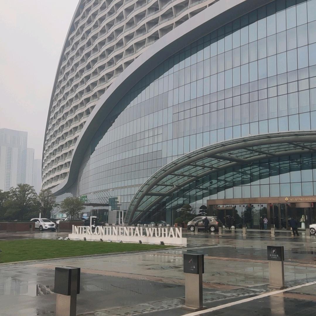 已灰之木