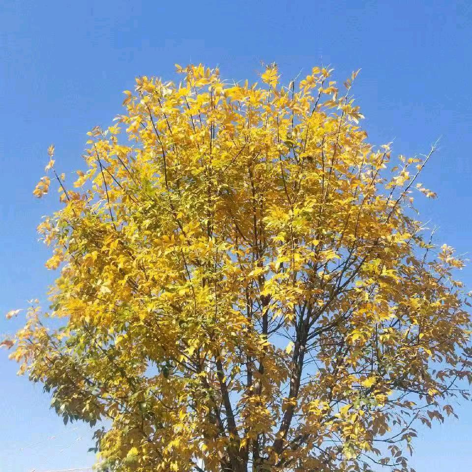 104669118451