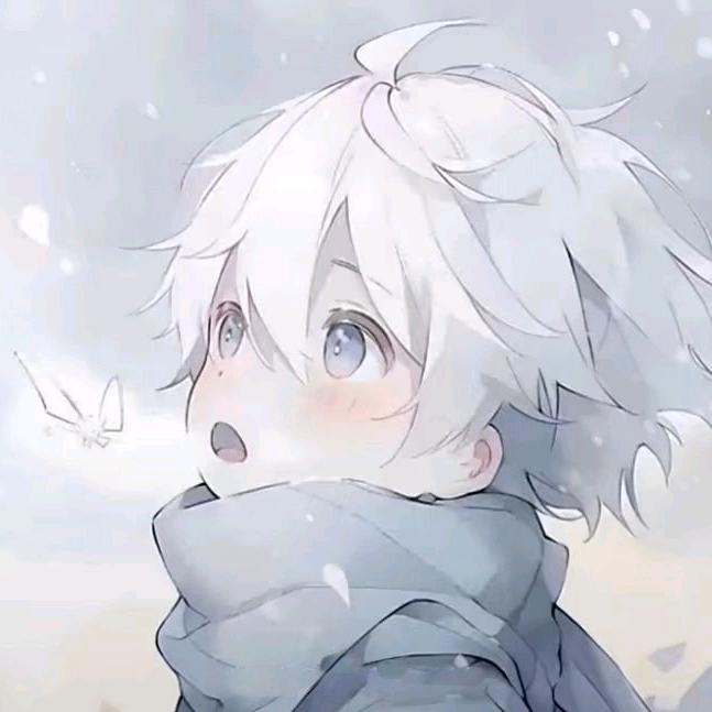 枫叶🍁