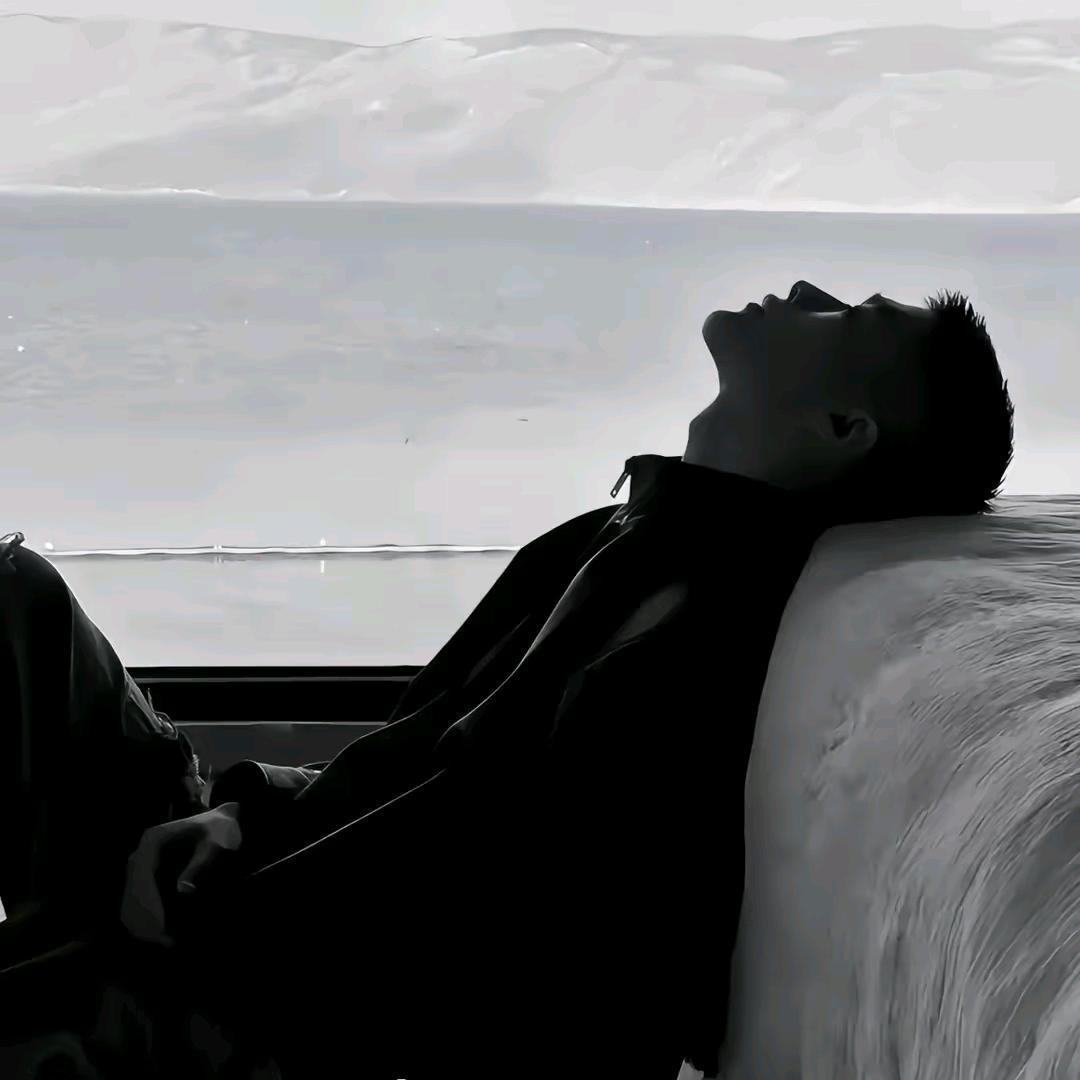 Z•