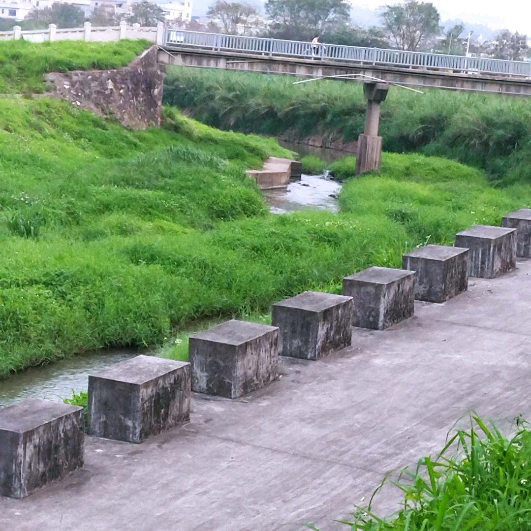 “冷血”